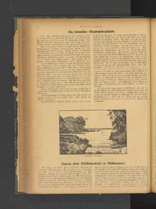 Legung einer Einschienenbahn in Südkamerun?