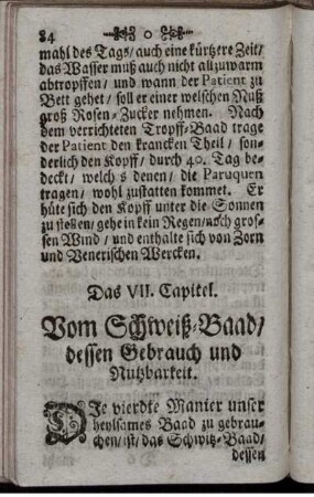 Das VII. Capitel. Vom Schweiß-Baad, dessen Gebrauch und Nutzbarkeit.