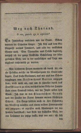 Weg nach Tharand