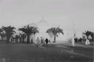 Reisefotos Marokko. Straßenbild mit Palmen und Moschee?
