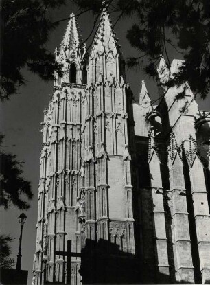 Die Kathedrale von Palma