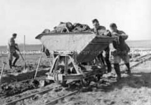 Einsatz des Reichsarbeitsdienstes bei Erdarbeiten mit Lore auf der Hallig Hooge