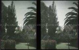 Blick in einen Garten in Chorrillos