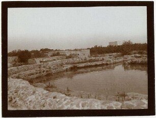 Der kl. Teich v. ras el-'en [ras-el-Ain]