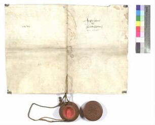 Notariatsinstrument über die Einweisung des Klosters Wiblingen in das Rittergut Bronnen und Huldigung der Untertanen