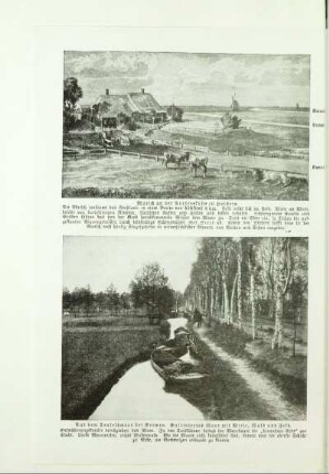 Aus dem Teufelsmoor bei Bremen. Kultiviertes Moor mit Wiese, Wald und Feld