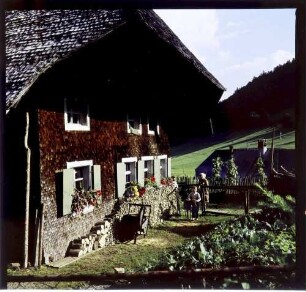 Bernau: großes Schwarzwaldhaus mit Holzstapel und Garten