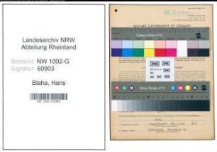 Entnazifizierung Hans Blaha, geb. 29.04.1904 (Automechaniker)
