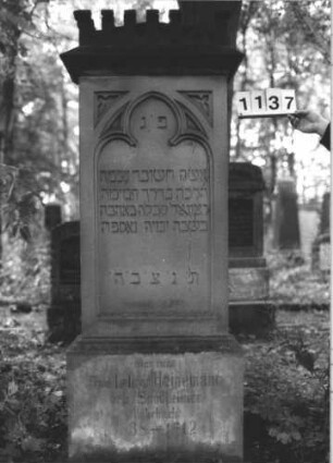 Grabstein 1137