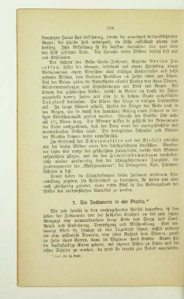 5. Die Indianerin in der Prairie