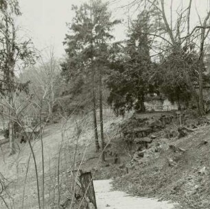 Park, Grimma