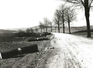 Naturschutz. Baumschutz. Osterzgebirgische Höhenstraße mit gefällten Bäumen. Hintergrund Geisingberg