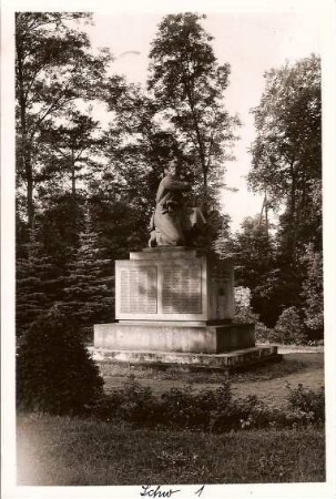 Postkarte, Schwerin (Warthe)