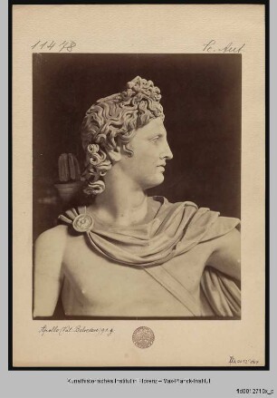 Apoll vom Belvedere