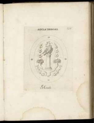 Aquila Trionfale