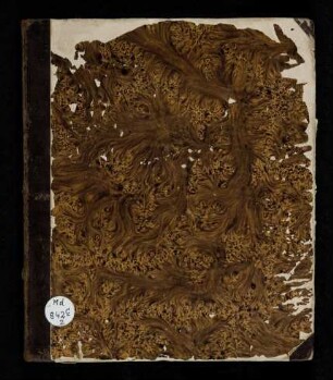 Tagebuch 1847-1850