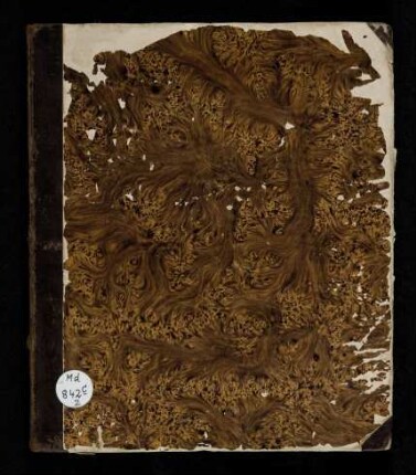 Tagebuch 1847-1850