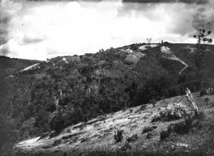 Gebirgslandschaft : Gebirgslandschaft mit Vegetation