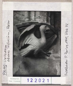 Prag: Veitsdom, oberes Triforium, Adler