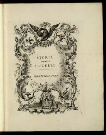 Storia Degli Uccelli