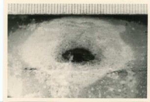 Bohrkern der Tiefenbohrung Freital (F 8 E), Teufe (Tiefe im Bergwerk) 204 m. Gebänderte Feinklastite, Bleichhof in Silt (Sandschiefer). Nördlich von Bannewitz, alte Kiesgrube