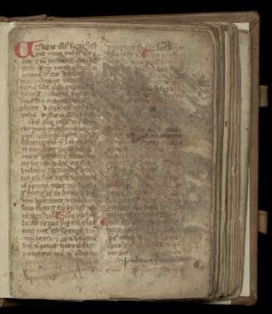 Petegrinus  Sermones de tempore selecti et de sanctis