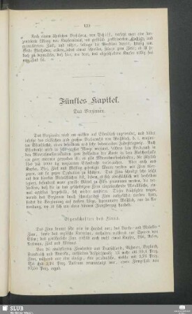 Fünftes Kapitel. Das Verzinnen