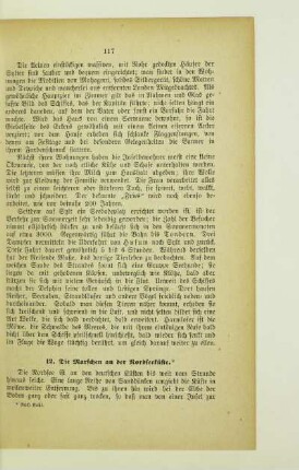 12. Die Marschen und die Nordseeküste