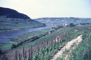 Moseltal bei Nittel