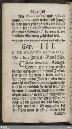 Cap. III. I. De Plantis Bulbosis. Von den Zwibel-Gewächsen