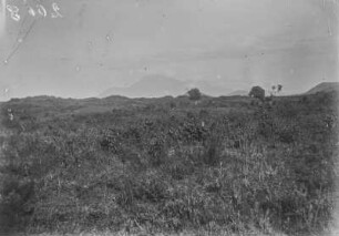 Nyiragongo (Sammlung Hans Meyer - Herzog-Adolf-Friedrich-Expedition 1907–1908)