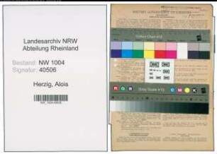 Entnazifizierung Alois Herzig , geb. 01.04.1911 (Ingenieur)