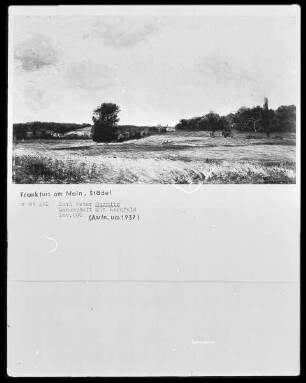 Landschaft mit Kornfeld