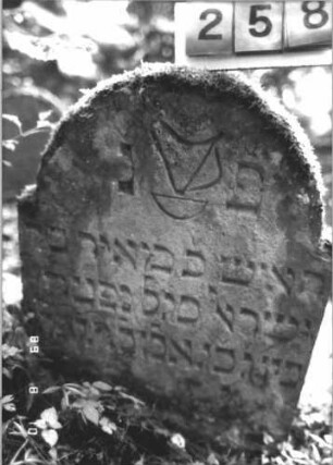Grabstein 258 (Index: 99799909) Material: Sandstein Zustand: stark verwittert, leicht eingesunken Maße HxBxT: 83x62x9 cm Beschreibung: Stele, eingezogener Rundbogenabschluß Symbolik: Levitenkanne: Grabstein 258