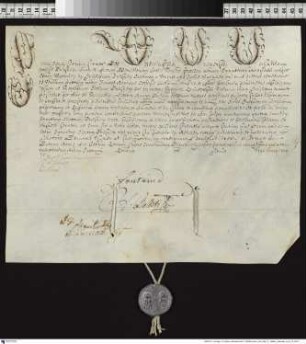 Aussteller: Pius VI. Empfänger: Vasallen der Kirche von Gnesen. Betreff: Erhebung des Ignacy Blazej Franciszek Krasicki [auch: Graf Ignatius Krasicki], Bischof von Ermland, zum Erzbischof von Gnesen
