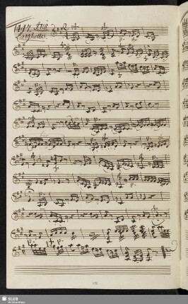 1447. Cavatina: Ho un cor dolce / Piticchio, F.
