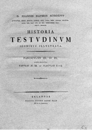 Tab. XI. et Tab. XII. fig. I. Testudo Marginata.