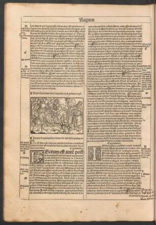 Incipit secundus liber samuelis qui est secundus regum.