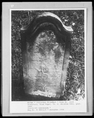 Grabstein Kind Vogel, Tochter des Abraham Cahn (gestorben 1860)