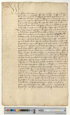 Schutzbrief König Ferdinands für Lüneburg.