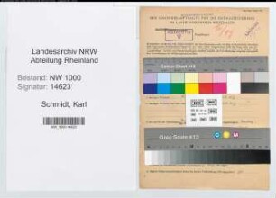 Entnazifizierung Karl Schmidt, geb. 28.02.1902 (Schriftleiter)