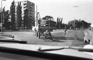 Pferdefuhrwerk im Straßenverkehr.
