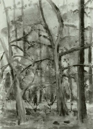 Herbstlicher Wald