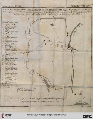 Pianta Topografica della città di Pesto...