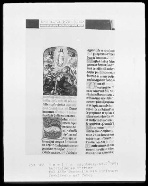 Brevier aus Namur — Verklärung Christi, Folio 488verso