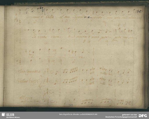 Aria: Senti di te ben mio cantar