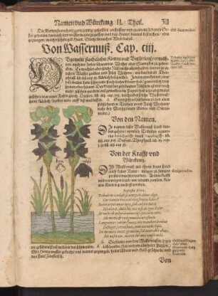Von Wassernuß, Cap. CIII