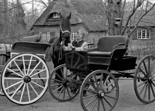 Matthiesen, Anne und Matthiesen, Hans-Gert: Kutschensammler: Dog-Cart und Amerikaner (Baujahr 1921) mit Pferd