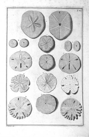 Tab. 110
