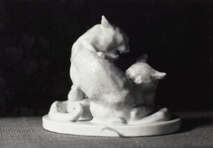 Kämpfende Katzen
